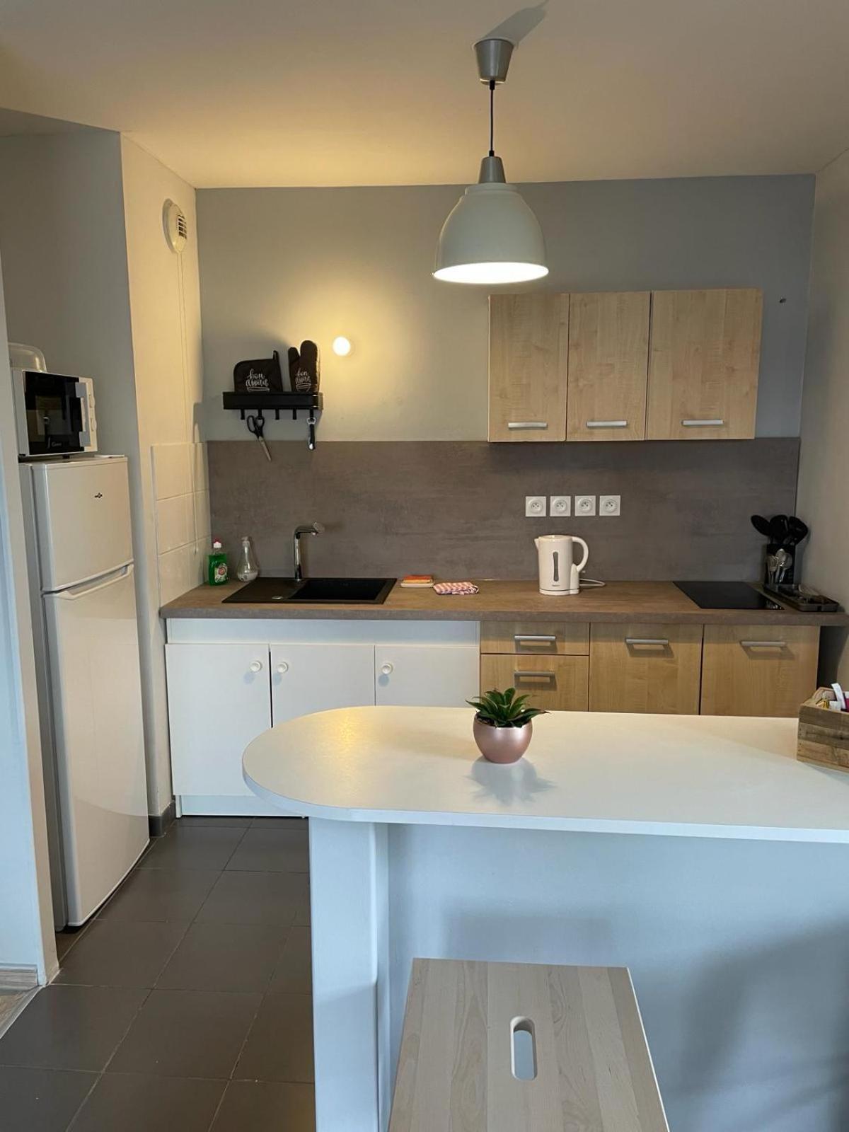 Appartement 2 Chambres Avec Terrasse Et Garage Saint-Andre-lez-Lille Εξωτερικό φωτογραφία